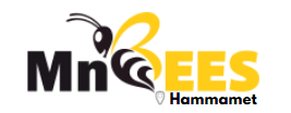 MnBees Hammamet